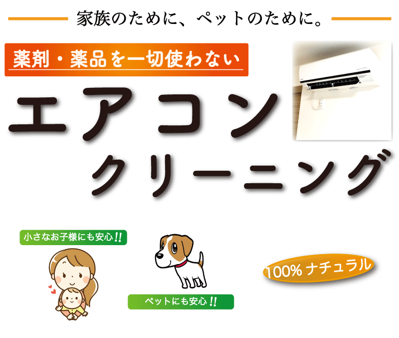 100 ナチュラルのハウスクリーニング 神奈川 東京 小さなお子様にもペットにも安全 安心