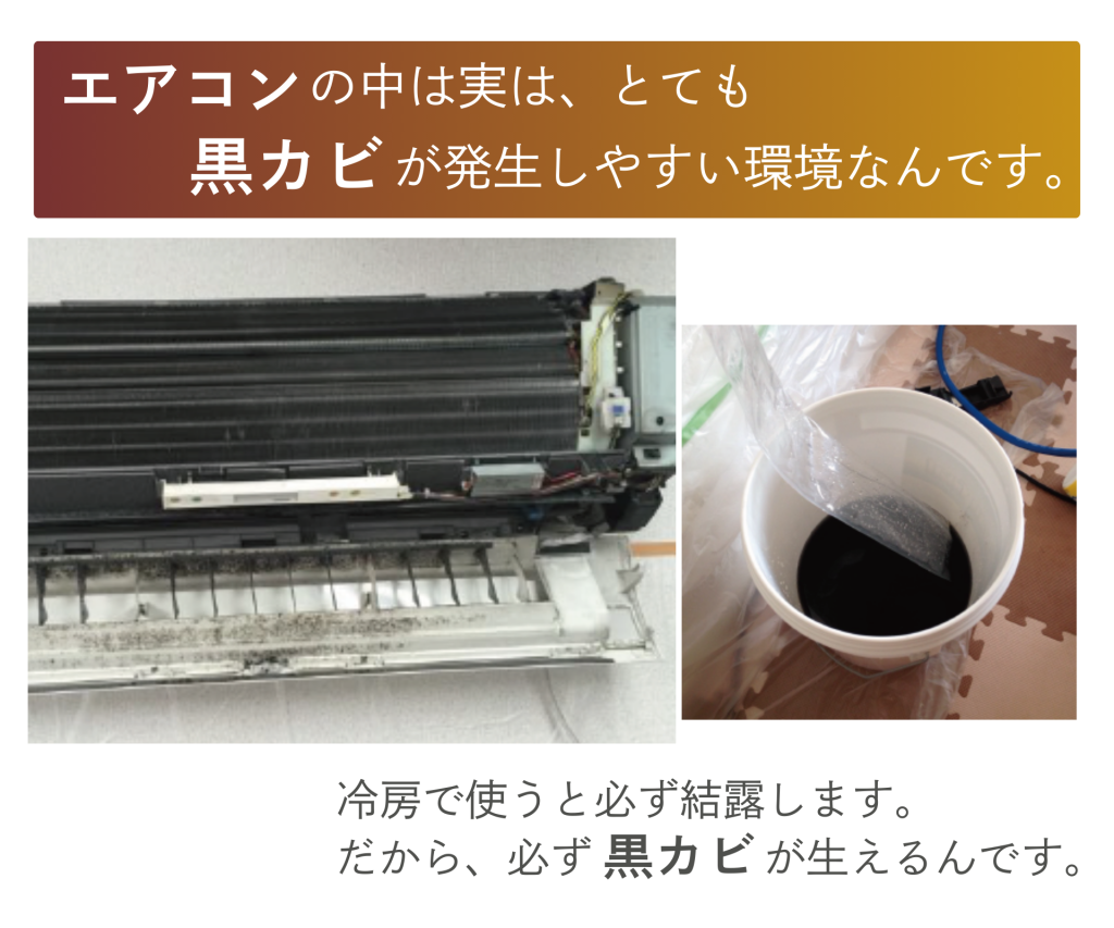 エアコンの中は実はとてもカビが発生しやすい環境なんです。冷房で使うと結露します。だから必ず黒カビが生えるんです。
